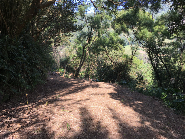 陽明山景觀別墅,台北市士林區中庸五路