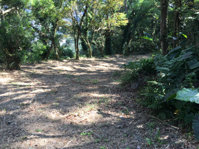 陽明山景觀別墅,台北市士林區中庸五路