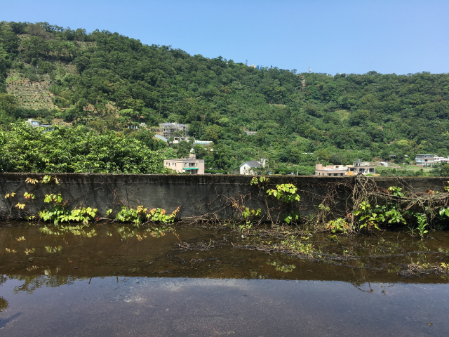 陽明山景觀別墅