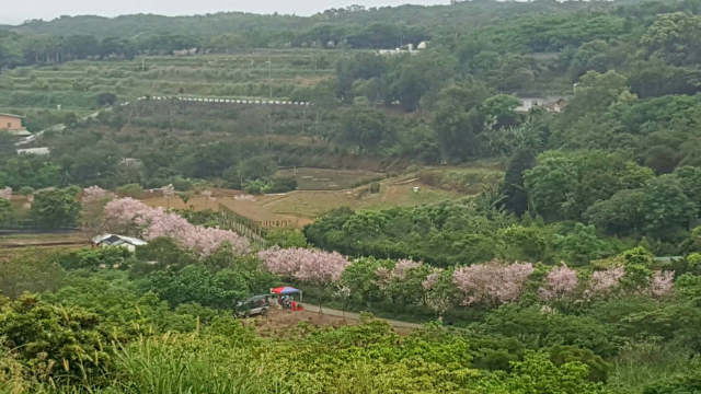 北海岸休閒農場,新北市三芝區大坑