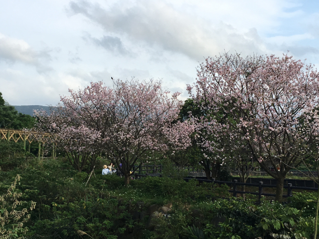 北海岸休閒農場,新北市三芝區大坑