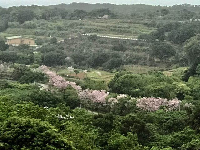 北海岸休閒農場,新北市三芝區大坑