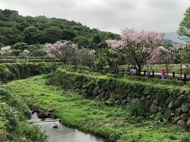 北海岸休閒農場,新北市三芝區大坑