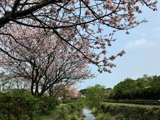 北海岸休閒農場,新北市三芝區大坑
