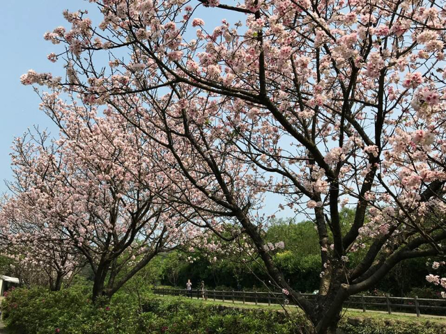 北海岸休閒農場,新北市三芝區大坑