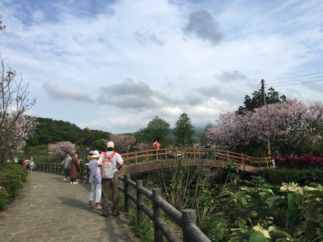 北海岸休閒農場,新北市三芝區大坑