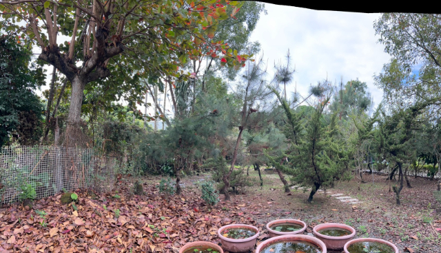 竹崎花果園透天