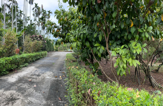 竹崎花果園透天