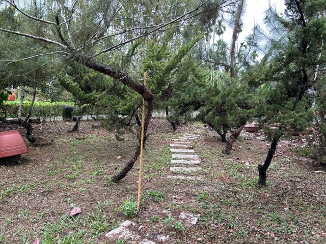 竹崎花果園透天