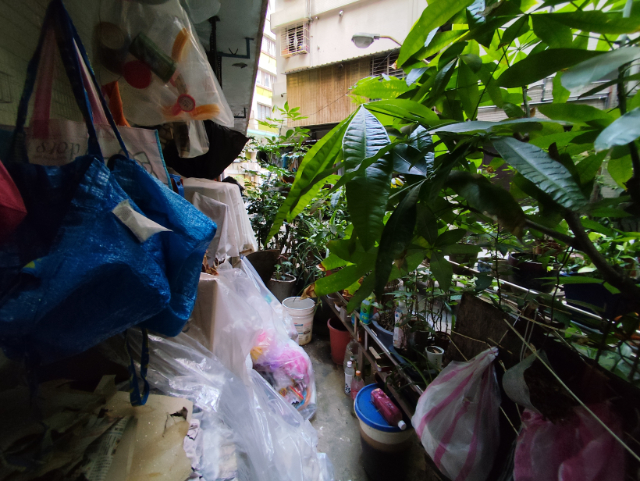 重劃區稀有小店面