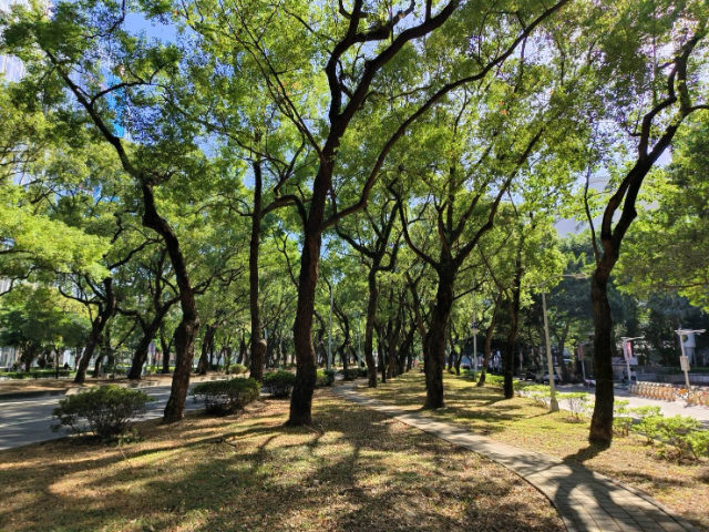 環翠名宮樹海名邸,台北市松山區敦化北路