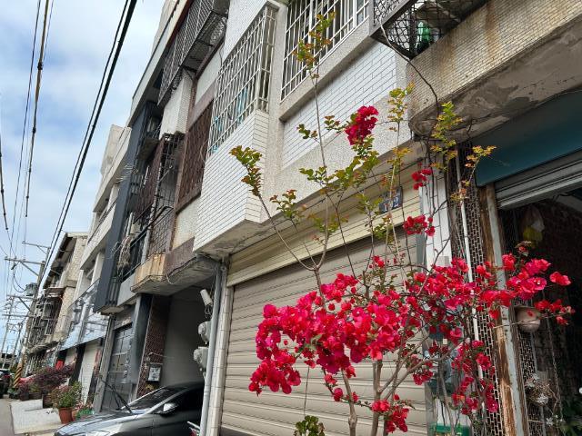 中科東海透天厝,台中市龍井區綠園路