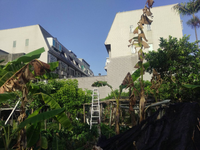 新營住宅區建地,台南市新營區新生段