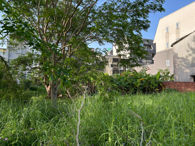 新營住宅區建地,台南市新營區新生段