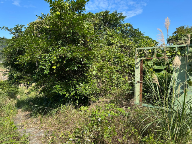 雙溪臨路一般農業地,新北市雙溪區魚行段