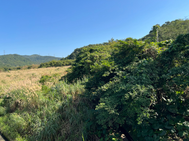 雙溪臨路一般農業地,新北市雙溪區魚行段