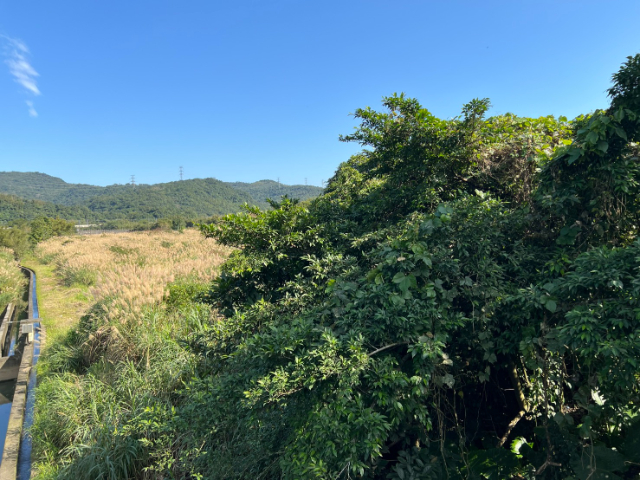 雙溪臨路一般農業地,新北市雙溪區魚行段