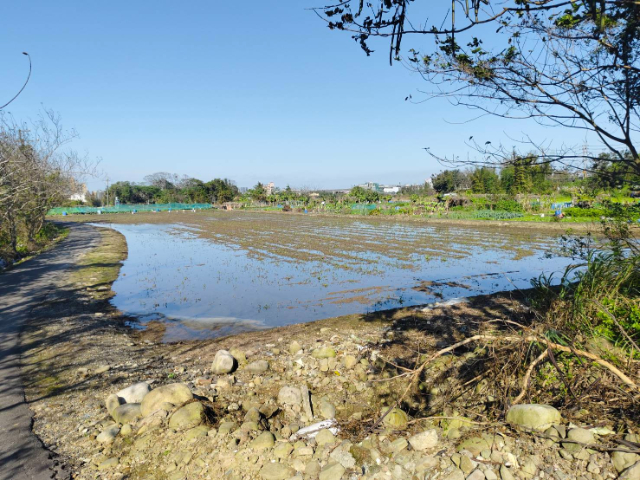 平鎮北商段農地