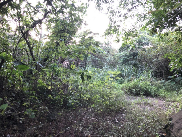 德安住一建地,基隆市中山區德安路