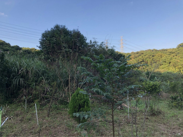 德安住一建地,基隆市中山區德安路