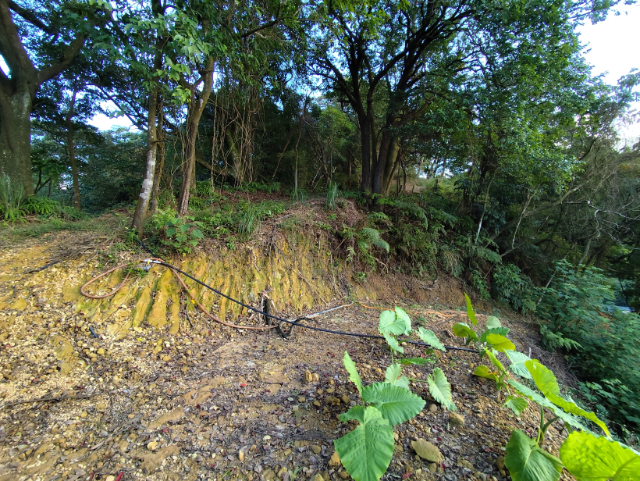 汐止茄福街農地,新北市汐止區茄苳腳段