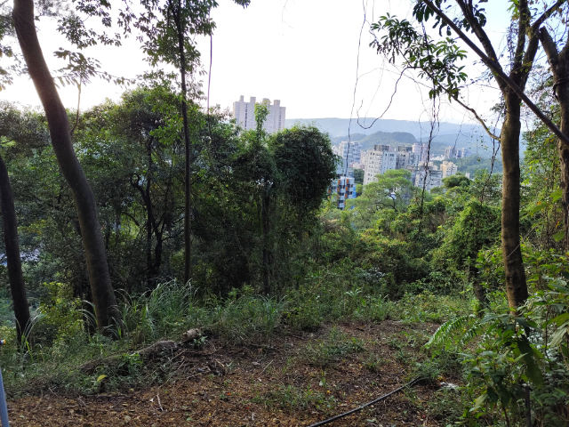 汐止茄福街農地,新北市汐止區茄苳腳段